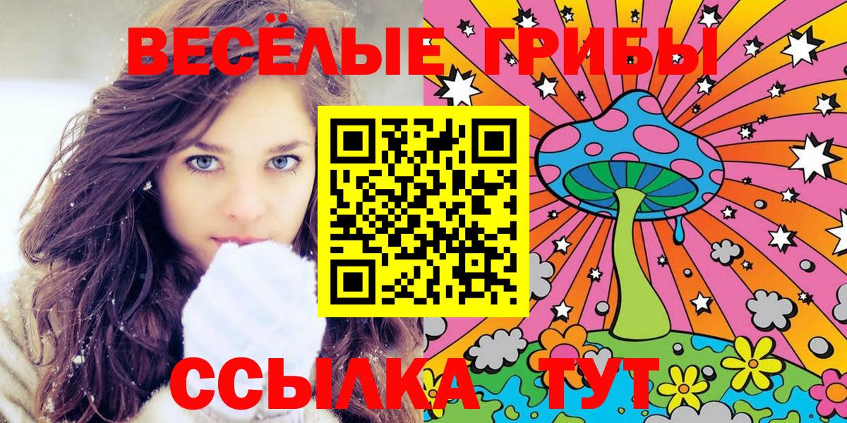 закладка  Псилоцибиновые грибы GOLDEN TEACHER  Вход с VPN  Малоярославец  Галлюциногенные грибы Psilocybe 